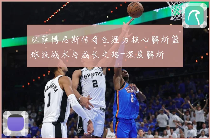 以萨博尼斯传奇生涯为核心解析篮球技战术与成长之路-深度解析