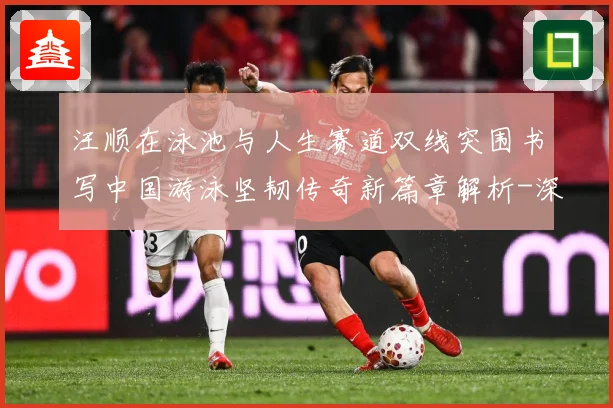 汪顺在泳池与人生赛道双线突围书写中国游泳坚韧传奇新篇章解析-深度解析