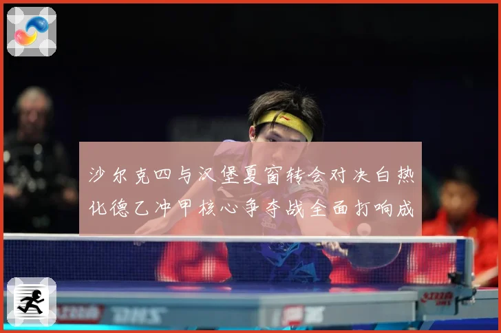 沙尔克四与汉堡夏窗转会对决白热化德乙冲甲核心争夺战全面打响成长观察-深度解析