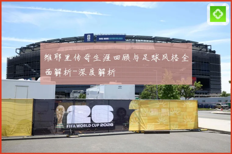 维耶里传奇生涯回顾与足球风格全面解析-深度解析