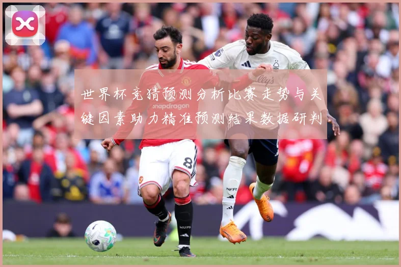 世界杯竞猜预测分析比赛走势与关键因素助力精准预测结果数据研判-深度解析